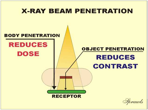 Effect of X-ray Beam Penetration on Contrast, Body Penetration, and Dose